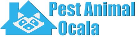 Ocala Wildlife and Animal Removal